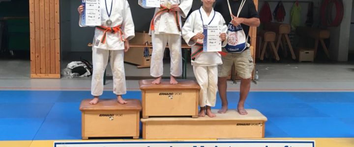 Erfolgreiche Jugendarbeit bei Judo