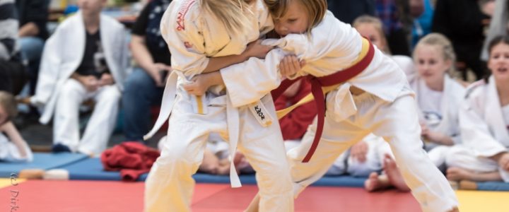 Erfolgreiches Judo auch bei den jüngsten Mitgliedern 53 Teilnehmer bei Nikolausturnier des FC Schweitenkirchen