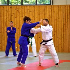 Judo im Rhythmus des Sirtaki – Lehrgang „Oldies but Goldies“ bringt neue Aspekte des Kampfsports